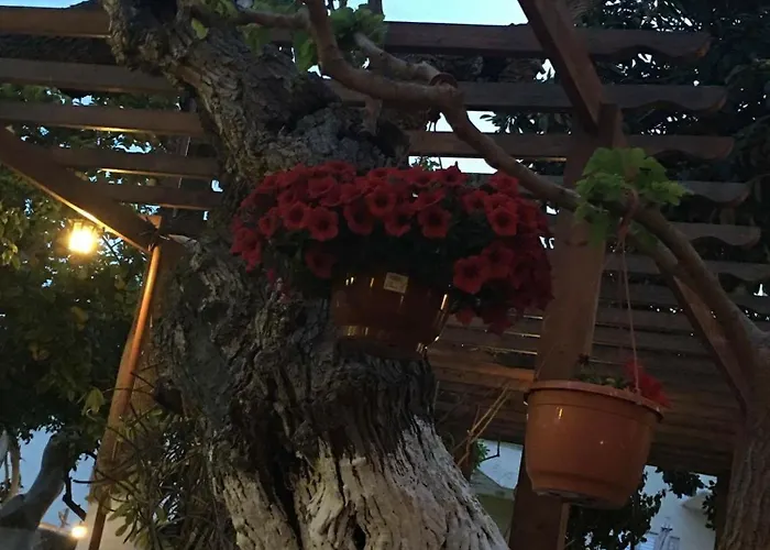 The Bunch Of Grapes Inn