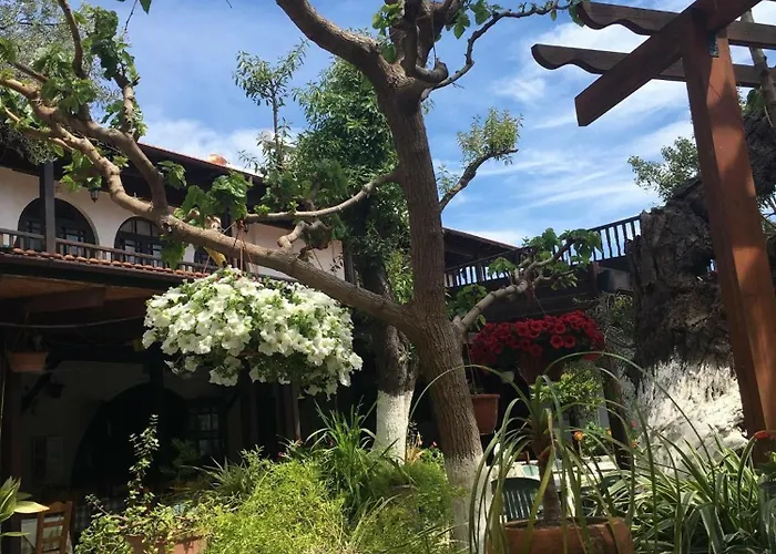 The Bunch Of Grapes Inn