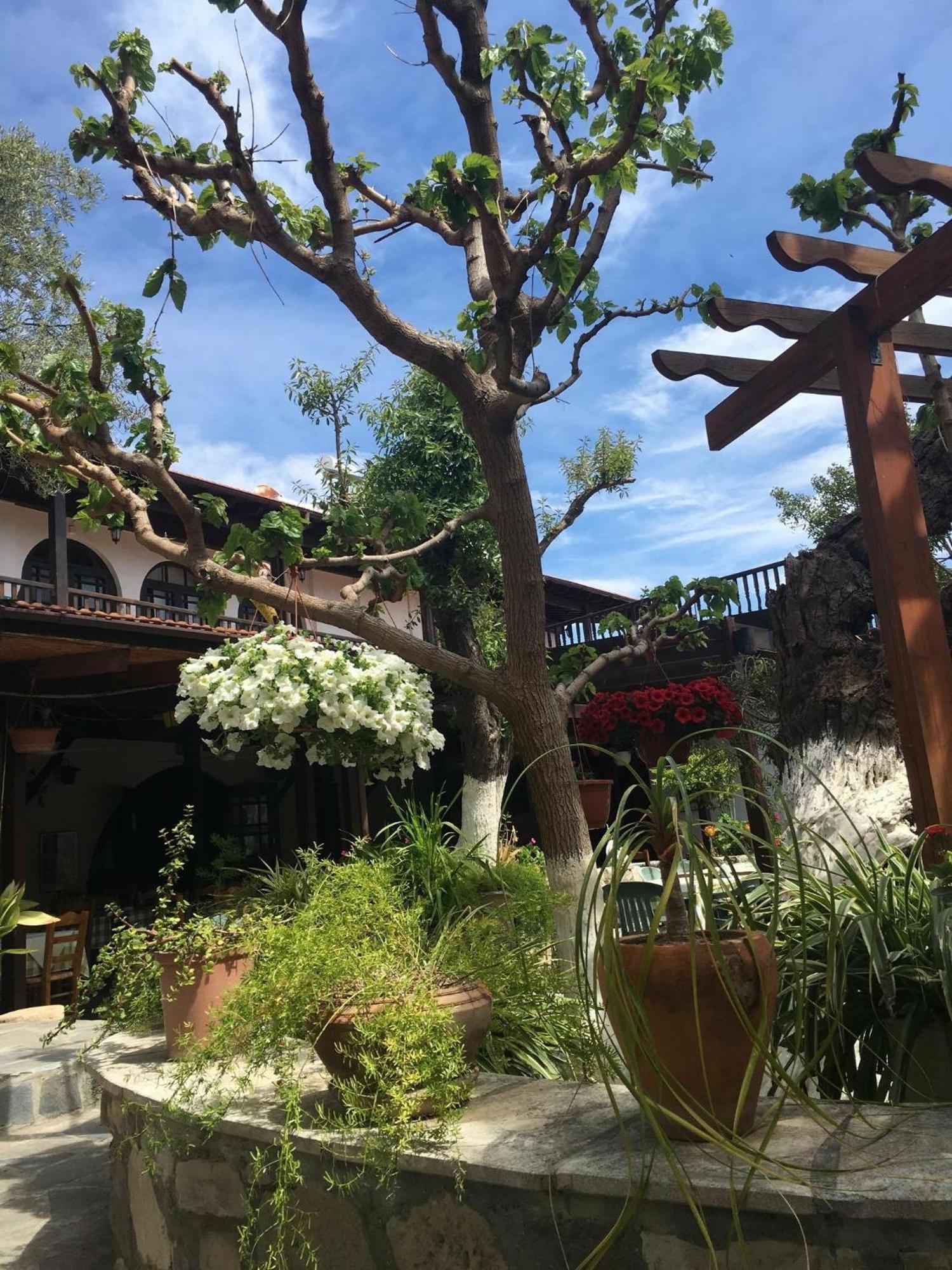 The Bunch Of Grapes Inn